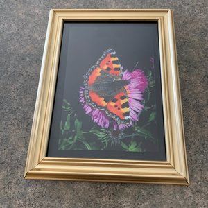Set of (10) Assorted Butterfly Greeting Cards